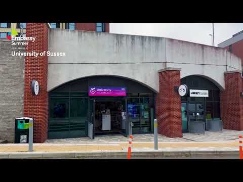 Embassy Summer at University of Sussex